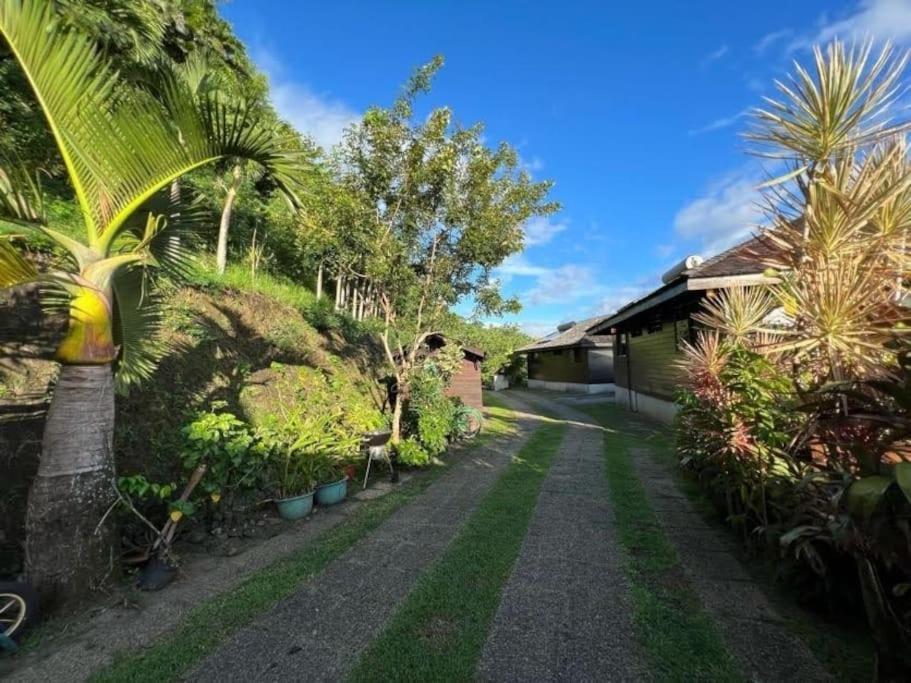 Tehuarupe Surf Studio 2 Haapiti エクステリア 写真
